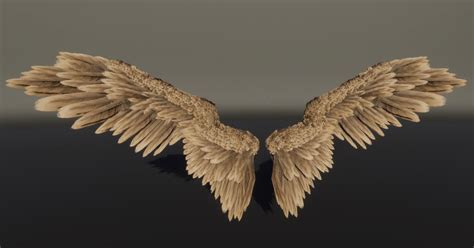 Angel Wings 3d Props Unity Asset Store