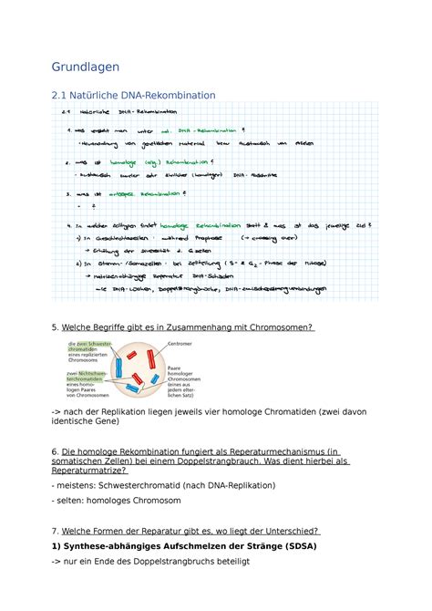 Grundlagen Gentechnik Sommersemester Grundlagen Nat Rliche Dna