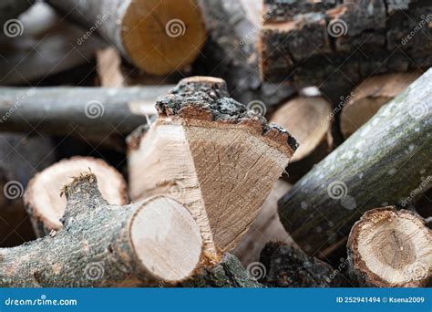 Background Of Chopped Oak Firewood Stock Photo Image Of Wood