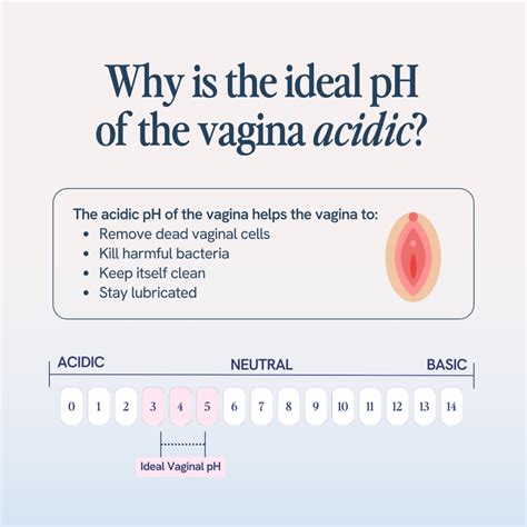 Learning Center 6 Natural Ways To Fix Your Vaginal Ph Balance Overnight