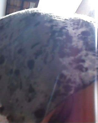 Wife Dress Porn Pics PICTOA