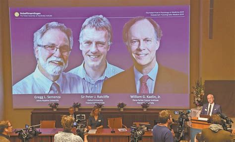 Nobel a estudios que llevan a luchar contra anemia y cáncer