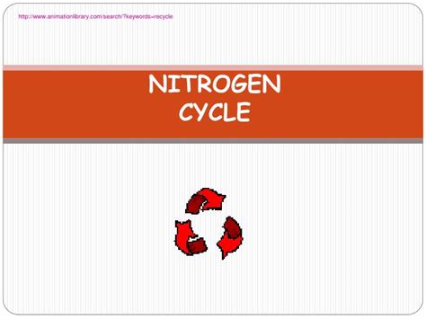 PPT - NITROGEN CYCLE PowerPoint Presentation, free download - ID:1992631 