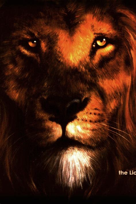 Lion Of Judah Wallpaper - WallpaperSafari