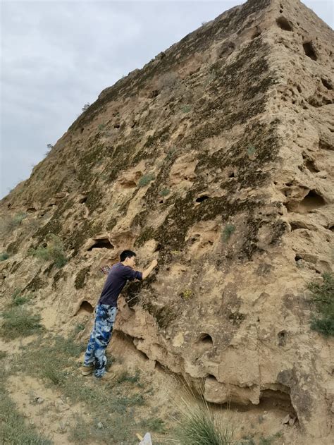 Parts Of China S Great Wall Are Protected By A Living Cover Of Biocrusts Smithsonian