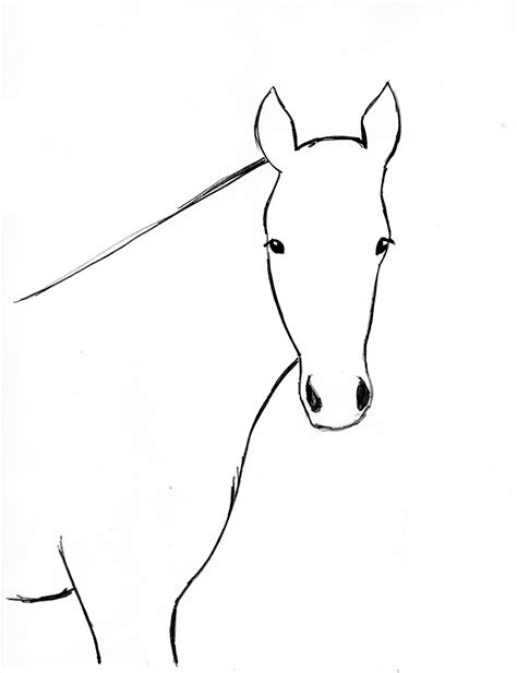 Horse Drawing Step By Step | Art Starts