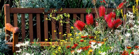 A Horticulturist S Guide To Australian Native Plants Botanic Gardens Of Sydney