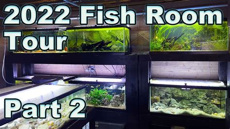 Prime Time Aquatics Fish Room Tour Part The Wall Of Gallon