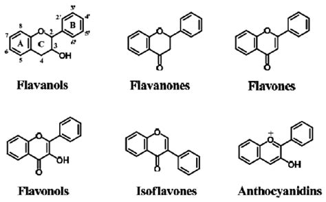 The Basic 15 Carbon Skeleton Structures Of The Different Classes Of Download Scientific Diagram