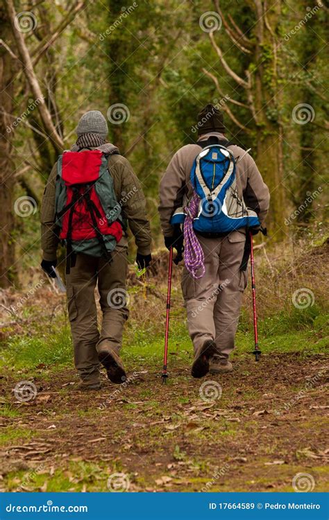 Hikers Walking In A Trail Stock Image Image Of Wood 17664589