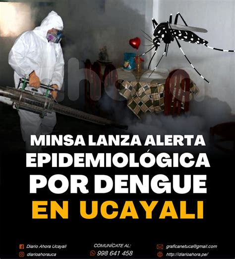 Minsa lanza alerta epidemiológica por dengue en Ucayali Diario Ahora