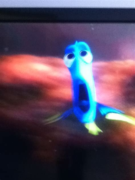 Dory speaking whale. | Whale, Animals, Dory