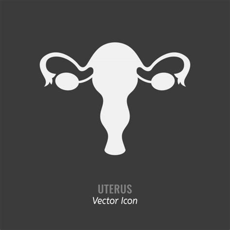 Ovary Illustrations Royalty Free Vector Graphics And Clip Art Istock