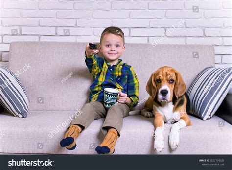 Funny Boy Remote Control Watching Tv Stock Photo 1032704392 | Shutterstock