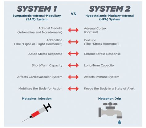 Fight Or Flight At Work Your Stress Response