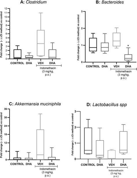 Abundance Of Clostridium A Akkermansia Muciniphila B Bacteroides