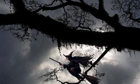 ТФО. Ночь на Лысой горе