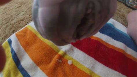 Cumming Inside Bad Dragon Pussy Xxx Mobile Porno Videos Movies