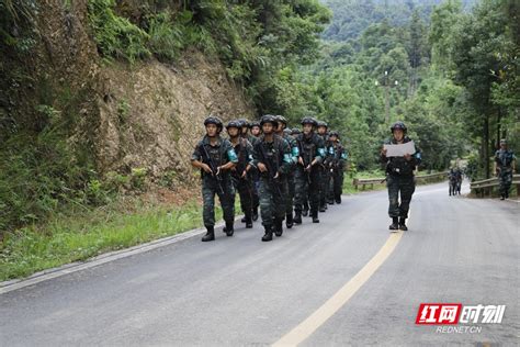 山野丛林砺尖刀 武警湖南总队特战官兵湘北实战演练大幕开启 科教 文卫 湖南频道 红网