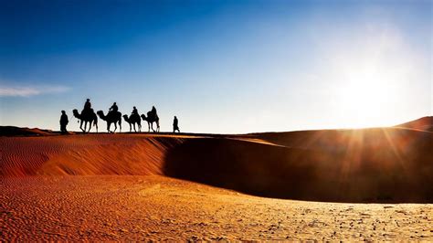 #1 MARRAKECH DESERT TOURS - Marrakech City Life - Morocco Tours