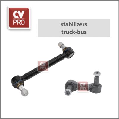 Stabilizers Sway Bars Anti Roll Bars Cv Proparts