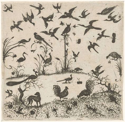 Birds Esaias Van Hulsen 1617 Rijksmuseum Medieval Drawings Bird