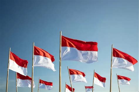 Jangan Salah Segini Ukuran Bendera Merah Putih Yang Sesuai Dengan