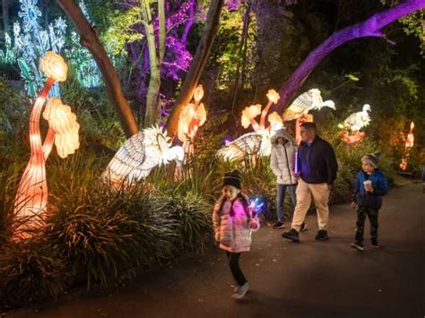 L.A. Zoo Lights: Animals Aglow Tickets | Los Angeles | TodayTix