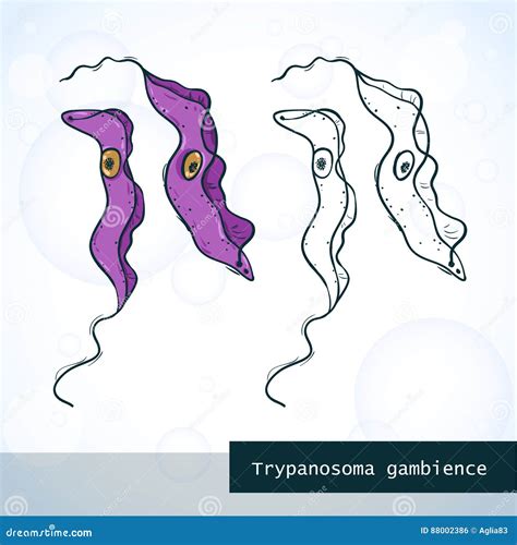 Trypanosoma Cartoons, Illustrations & Vector Stock Images - 52 Pictures