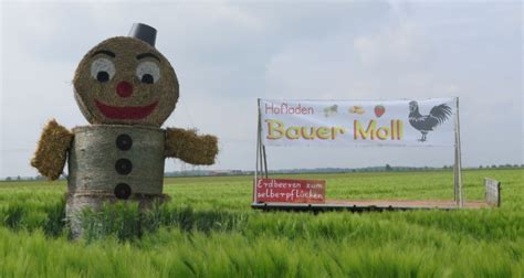 Bio Hoefe Hof Cafe Bauer Moll Kerpen Hofladen Und Caf