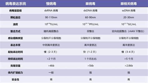 听说你还在烦恼慢病毒腺病毒腺相关病毒的选择 知乎