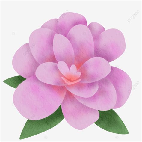 Pink Flower Illustration Flower Pink Flowers Flowers Illustration