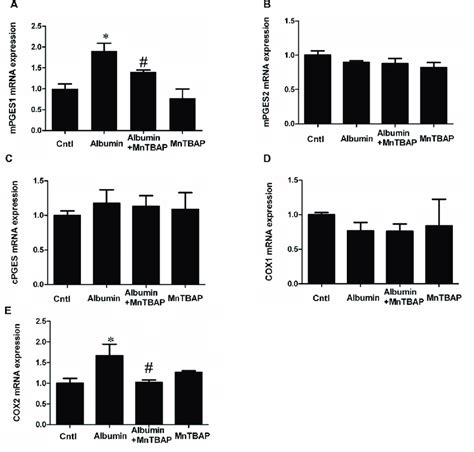 The Upregulation Of Cox And Mpges Mrna Expressions Was Revered By