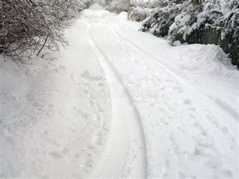 Tire Tracks on Snow stock image. Image of snow, tire - 118773025