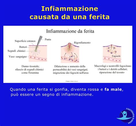 Infiammazione Acuta E Cronica Differenze Cause Segni E Sintomi