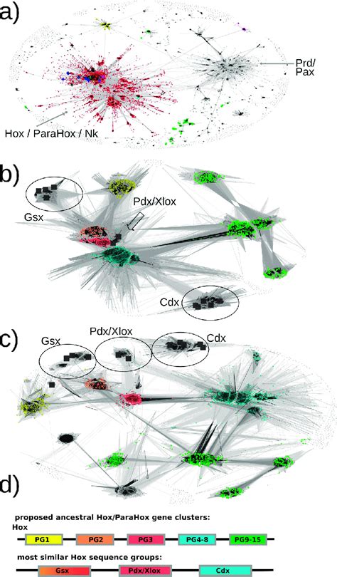 All-against-all pairwise-sequence-similarity maps of full-length ... 