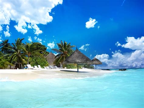 Bahamas Wallpaper - Beach In The Bahamas Wallpaper And Hintergrund ...