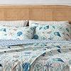 Amazon Tritard 3 Piece Coastal Quilt Sets Full Queen Size