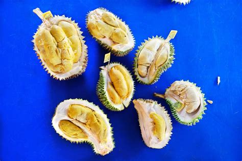 2020 Malaysia Durian Season Guide - Year of the Durian