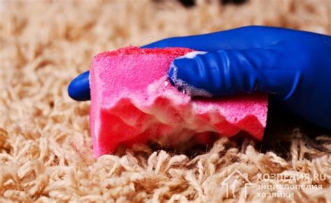 Ваниш для ковров: отзывы, инструкция по применению в домашних условиях