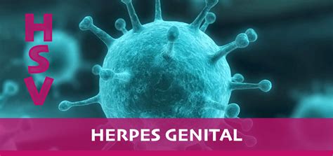 Que Es El Herpes Genital Sintomas Causas Y Como Tratar La Enfermedad Images