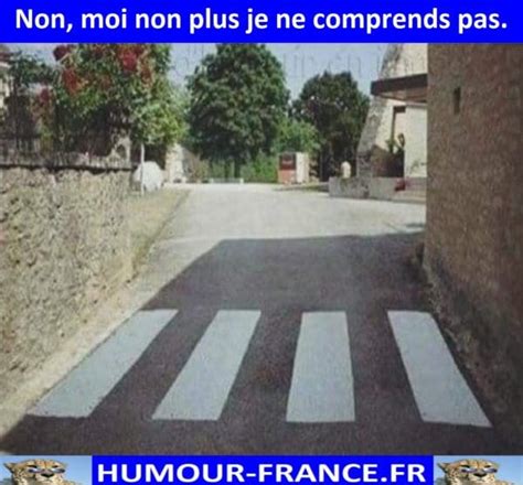 Non Moi Non Plus Je Ne Comprends Pas Humour France Fr