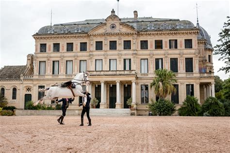 La Real Escuela Andaluza Del Arte Ecuestre Cierra Sus Puertas Por El