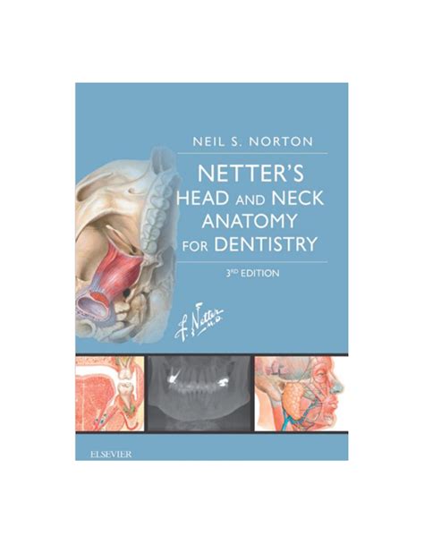 Netter S Head And Neck Anatomy For Dentistry 3rd Edition