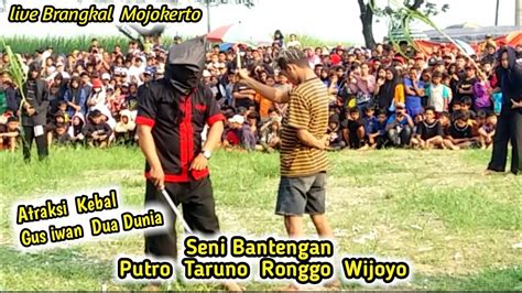 Atraksi Seni Bantengan Putro Taruno Ronggo Wijoyo Live Brangkal Youtube