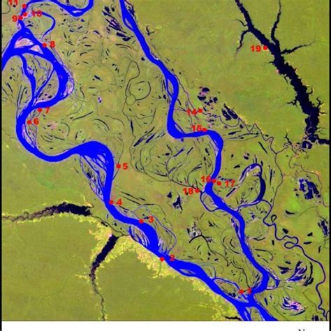 Landsat Tm Satellite Image Bands 543 Of The Study Region From 1999