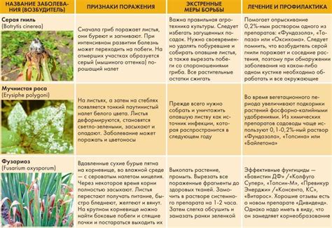 Болезни декоративных растений и их лечение - подробное описание в ...