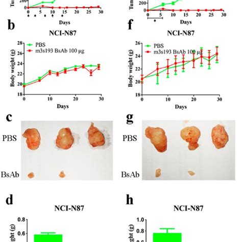 Activation Of CD69 And CD25 Expression On CD8 And CD4 T Cells The