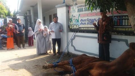 Idul Adha H M Hero Kurban Lima Sapi Dan Sembilan Kambing