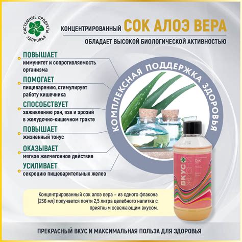 Концентрированный сок алоэ вера купить в интернет-магазине SPZ03.RU
